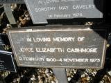 image of grave number 101877